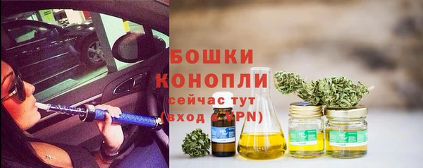 амф Нея