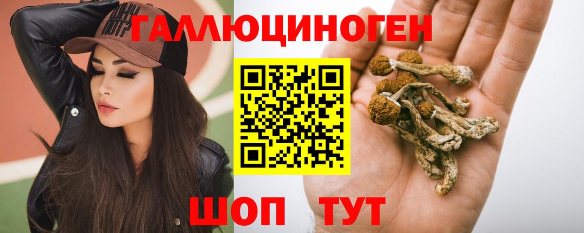 Псилоцибиновые грибы Cubensis  Абакан  Псилоцибиновые грибы Psilocybe 